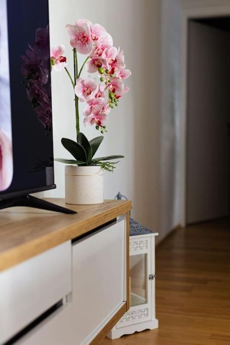 Apartman Lux Self Check-In Virovitica Eksteriør bilde